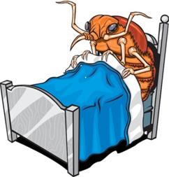 Bed bug cartoon
